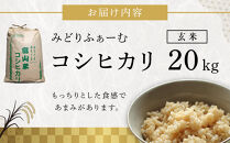 【令和7年産】みどりふぁーむのコシヒカリ&nbsp;玄米&nbsp;20kg&nbsp;|&nbsp;米&nbsp;玄米&nbsp;こしひかり&nbsp;もちもち&nbsp;お米&nbsp;こめ&nbsp;食品&nbsp;南砺市&nbsp;みどりふぁーむ&nbsp;ふるさと納税&nbsp;田舎暮らし&nbsp;地産地消&nbsp;国産&nbsp;新米&nbsp;食卓&nbsp;健康志向&nbsp;炊きたて&nbsp;ご飯好き&nbsp;家庭用&nbsp;食材&nbsp;栄養価が高い&nbsp;産地直送&nbsp;食育&nbsp;毎日の主食&nbsp;食生活&nbsp;人気&nbsp;おすすめ&nbsp;送料無料