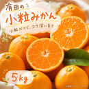 有田の小粒みかん&nbsp;約5kg&nbsp;(S～3Sサイズ混合)［2026年11月下旬以降発送］［先行予約］［UT134w］