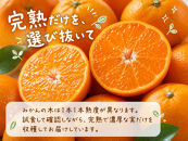 有田の小粒みかん&nbsp;約5kg&nbsp;(S～3Sサイズ混合)［2026年11月下旬以降発送］［先行予約］［UT134］