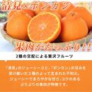 【ご家庭用訳あり】紀州有田産不知火(しらぬひ) 約6kg【2025年2月中旬以降発送】【先行予約】【UT130】