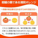 とにかくジューシー清見オレンジ 約2.5kg【2025年3月下旬以降発送】【先行予約】【UT131】