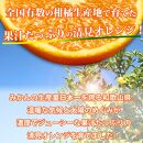 【ご家庭用訳あり】紀州有田産清見オレンジ 約5kg【2025年3月下旬以降発送】【先行予約】【UT132】