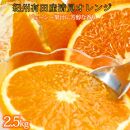 とにかくジューシー清見オレンジ 約2.5kg【2025年3月下旬以降発送】【先行予約】【UT131】