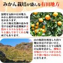 とにかくジューシー清見オレンジ 約2.5kg【2025年3月下旬以降発送】【先行予約】【UT131】