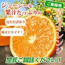 とにかくジューシー清見オレンジ 約2.5kg【2025年3月下旬以降発送】【先行予約】【UT131】