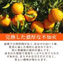 ［ご家庭用訳あり］紀州有田産不知火(しらぬひ) 約3kg［2026年2月中旬以降発送］［先行予約］［UT135］