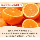 ［ご家庭用訳あり］紀州有田産不知火(しらぬひ) 約3kg［2026年2月中旬以降発送］［先行予約］［UT135］