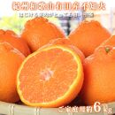 ［ご家庭用訳あり］紀州有田産不知火(しらぬひ)&nbsp;約6kg［2026年2月中旬以降発送］［先行予約］［UT136］