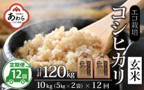 【先行予約】【令和7年産 新米】《定期便12回》エコ栽培コシヒカリ 玄米10kg（5kg×2袋）計120kg ／ 鮮度抜群 福井県産 こしひかり ご飯 新鮮 玄米 ※2025年10月上旬より準備出来次第発送