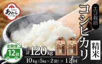 【先行予約】【令和7年産 新米】《定期便12回》エコ栽培コシヒカリ 白米10kg（5kg×2袋）計120kg ／ 鮮度抜群 福井県産 こしひかり ご飯 新鮮 白米 ※2025年10月上旬より準備出来次第発送