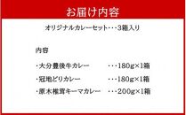 大分県の特産品カレー3種類セット計3箱_2453R