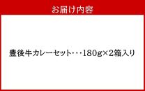 おおいた豊後牛カレー2箱セット_2454R