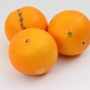 ［先行予約］家庭用 ネーブルオレンジ10kg+250g（傷み補償分）［訳あり・わけあり］［光センサー選別］