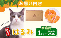［先行予約］家庭用&nbsp;はるみ1kg+250g（傷み補償分）［デコポンの姉妹品種・新食感春みかん］［わけあり・訳あり］
