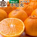 ［先行予約］家庭用 不知火10kg+250g（傷み補償分）［デコポンと同品種・人気の春みかん］［わけあり・訳あり］