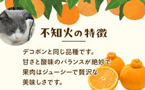 ［先行予約］家庭用&nbsp;不知火10kg+250g（傷み補償分）［デコポンと同品種・人気の春みかん］［わけあり・訳あり］