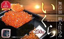 【1週間で発送】北海道産イクラしょうゆ漬け(鮭卵)　250g 【いくら 醤油漬け いくら醤油漬 小分け 無添加 冷凍 魚卵 お取り寄せ 人気 鮭いくら 旭川市 北海道ふるさと納税 北海道 送料無料】_00583