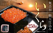 【12月25日～30日到着】北海道産イクラしょうゆ漬け(鮭卵)　250g 【いくら 醤油漬け いくら醤油漬 小分け 無添加 冷凍 魚卵 お取り寄せ 人気 鮭いくら 旭川市 北海道ふるさと納税 北海道 送料無料】_00583