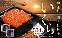 【1週間で発送】北海道産イクラしょうゆ漬け(鮭卵)　500g 【いくら 醤油漬け いくら醤油漬 小分け 無添加 冷凍 魚卵 お取り寄せ 人気 鮭いくら 旭川市 北海道ふるさと納税 北海道 送料無料】_00584