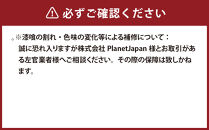 REVERSIBLE COASTER　リバーシブル　コースター