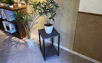 FLOWER STAND　花台