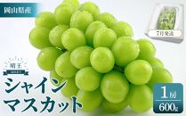 2026年予約受付中&nbsp;シャインマスカット&nbsp;晴王&nbsp;1房&nbsp;約600g&nbsp;7月～8月にお届け&nbsp;&nbsp;|&nbsp;フルーツ&nbsp;果物&nbsp;くだもの&nbsp;葡萄&nbsp;ブドウ&nbsp;ぶどう&nbsp;シャインマスカット&nbsp;マスカット&nbsp;晴王&nbsp;ギフト&nbsp;贈答用&nbsp;プレゼント&nbsp;岡山&nbsp;岡山県産&nbsp;国産&nbsp;フルーツ&nbsp;果物&nbsp;くだもの&nbsp;シャインマスカット&nbsp;マスカット&nbsp;おすすめ&nbsp;人気
