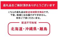 2026年予約受付中&nbsp;シャインマスカット&nbsp;晴王&nbsp;1房&nbsp;約600g&nbsp;7月～8月にお届け&nbsp;&nbsp;|&nbsp;フルーツ&nbsp;果物&nbsp;くだもの&nbsp;葡萄&nbsp;ブドウ&nbsp;ぶどう&nbsp;シャインマスカット&nbsp;マスカット&nbsp;晴王&nbsp;ギフト&nbsp;贈答用&nbsp;プレゼント&nbsp;岡山&nbsp;岡山県産&nbsp;国産&nbsp;フルーツ&nbsp;果物&nbsp;くだもの&nbsp;シャインマスカット&nbsp;マスカット&nbsp;おすすめ&nbsp;人気