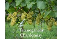 Domaine&nbsp;Beau&nbsp;テンドロップス　ジュース２本セット