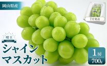 2026年予約受付中&nbsp;シャインマスカット&nbsp;晴王&nbsp;1房&nbsp;約700g&nbsp;7月～8月にお届け&nbsp;&nbsp;|&nbsp;フルーツ&nbsp;果物&nbsp;くだもの&nbsp;葡萄&nbsp;ブドウ&nbsp;ぶどう&nbsp;シャインマスカット&nbsp;マスカット&nbsp;晴王&nbsp;ギフト&nbsp;贈答用&nbsp;プレゼント&nbsp;岡山&nbsp;岡山県産&nbsp;国産&nbsp;フルーツ&nbsp;果物&nbsp;くだもの&nbsp;シャインマスカット&nbsp;マスカット&nbsp;おすすめ&nbsp;人気&nbsp;種無し&nbsp;皮ごと食べる&nbsp;みずみずしい7月～8月にお届け&nbsp;フレッシュ&nbsp;温室栽培&nbsp;晴れの国おかやま&nbsp;果物大国&nbsp;彩美菜果