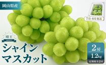2026年予約受付中&nbsp;シャインマスカット&nbsp;晴王&nbsp;2房&nbsp;約1.2kg&nbsp;2回&nbsp;定期便&nbsp;7月・8月に1回ずつお届け&nbsp;|&nbsp;フルーツ&nbsp;果物&nbsp;くだもの&nbsp;葡萄&nbsp;ブドウ&nbsp;ぶどう&nbsp;シャインマスカット&nbsp;マスカット&nbsp;晴王&nbsp;ギフト&nbsp;贈答用&nbsp;プレゼント&nbsp;岡山&nbsp;岡山県産&nbsp;国産&nbsp;フルーツ&nbsp;果物&nbsp;くだもの&nbsp;シャインマスカット&nbsp;マスカット&nbsp;おすすめ&nbsp;人気&nbsp;種無し&nbsp;皮ごと食べる&nbsp;みずみずしい7月～8月にお届け&nbsp;フレッシュ&nbsp;温室栽培&nbsp;晴れの国おかやま&nbsp;果物大国&nbsp;彩美菜果