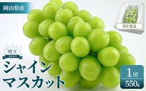 2026年&nbsp;&nbsp;受付中&nbsp;シャインマスカット&nbsp;晴王&nbsp;1房&nbsp;約550g【岡山県産&nbsp;種無し&nbsp;皮ごと食べる&nbsp;みずみずしい&nbsp;甘い&nbsp;フレッシュ&nbsp;9月～10月発送&nbsp;晴れの国&nbsp;おかやま&nbsp;ぶどう&nbsp;葡萄&nbsp;マスカット&nbsp;果物大国&nbsp;彩美菜果&nbsp;岡山県&nbsp;岡山市&nbsp;おすすめ&nbsp;人気】