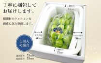 2026年&nbsp;&nbsp;受付中&nbsp;シャインマスカット&nbsp;晴王&nbsp;1房&nbsp;約550g【岡山県産&nbsp;種無し&nbsp;皮ごと食べる&nbsp;みずみずしい&nbsp;甘い&nbsp;フレッシュ&nbsp;9月～10月発送&nbsp;晴れの国&nbsp;おかやま&nbsp;ぶどう&nbsp;葡萄&nbsp;マスカット&nbsp;果物大国&nbsp;彩美菜果&nbsp;岡山県&nbsp;岡山市&nbsp;おすすめ&nbsp;人気】
