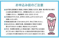 2026年　　受付中　シャインマスカット　晴王　2房　約1.4kg　【岡山県産&nbsp;種無し&nbsp;皮ごと食べる&nbsp;みずみずしい&nbsp;甘い&nbsp;フレッシュ&nbsp;9月～10月発送&nbsp;晴れの国&nbsp;おかやま&nbsp;ぶどう&nbsp;葡萄&nbsp;マスカット&nbsp;果物大国&nbsp;彩美菜果&nbsp;岡山県&nbsp;岡山市&nbsp;おすすめ&nbsp;人気】