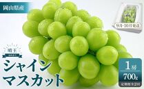 2026年　　受付中　シャインマスカット　晴王　１房　約700g　２回　定期便　9月・10月に1回ずつ発送　【岡山県産&nbsp;種無し&nbsp;皮ごと食べる&nbsp;みずみずしい&nbsp;甘い&nbsp;フレッシュ&nbsp;9月～10月発送&nbsp;晴れの国&nbsp;おかやま&nbsp;ぶどう&nbsp;葡萄&nbsp;マスカット&nbsp;果物大国&nbsp;彩美菜果&nbsp;岡山県&nbsp;岡山市&nbsp;おすすめ&nbsp;人気】