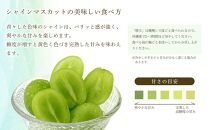 2026年予約受付中&nbsp;&nbsp;プレミアム　シャインマスカット　晴王&nbsp;1房　約700g　【シャインマスカット&nbsp;マスカット&nbsp;ぶどう&nbsp;葡萄&nbsp;岡山県産&nbsp;赤秀品&nbsp;&nbsp;種無し&nbsp;皮ごと食べる&nbsp;みずみずしい　&nbsp;9月～10月　お届け&nbsp;フレッシュ　晴れの国　おかやま&nbsp;果物大国　贈答品　&nbsp;彩美菜果&nbsp;岡山県&nbsp;岡山市&nbsp;おすすめ&nbsp;人気&nbsp;】