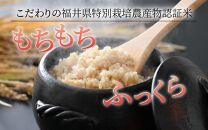 【先行予約】【令和7年産 新米】《定期便12回》 特別栽培米 ミルキークイーン 玄米  5kg （計60kg） 農薬不使用 化学肥料不使用 ／ 高品質 鮮度抜群 福井県産 ブランド米 あわら産 ブランド米 ※2025年10月上旬以降順次発送