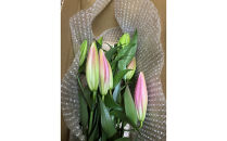 百合&nbsp;マスター（ピンク）20輪