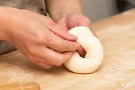 【定期便&nbsp;3か月】おんせんベーグル【香ばしい全粒粉10個！】～ゆふいんの汲みたて温泉水を使ったつるつるもちもちのベーグル～