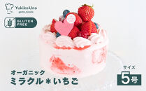 【むしやしない】オーガニックミラクル＊いちご&nbsp;5号｜京都&nbsp;アレルギー対応ケーキ&nbsp;人気シリーズ［&nbsp;卵・乳・小麦不使用&nbsp;動物性食品不使用&nbsp;皆で楽しむケーキ&nbsp;グルテンフリー&nbsp;おすすめ&nbsp;苺&nbsp;イチゴ&nbsp;ホールケーキ&nbsp;スイーツ&nbsp;お取り寄せ&nbsp;通販&nbsp;ふるさと納税&nbsp;］