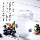 【わかさ生活】ブルーベリードライジン「Berry&Berry」700ml×1本 アルコール度数45度［ 京都 サプリ ブルーベリーアイ 売上No.1 人気 おすすめ お酒 酒 アルコール ジン 健康 お取り寄せ 通販 ふるさと納税 ］