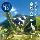 【わかさ生活】ブルーベリードライジン「Berry&Berry」700ml×1本 アルコール度数45度［ 京都 サプリ ブルーベリーアイ 売上No.1 人気 おすすめ お酒 酒 アルコール ジン 健康 お取り寄せ 通販 ふるさと納税 ］