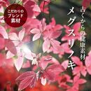 【わかさ生活】ブルーベリードライジン「Berry&Berry」700ml×1本 アルコール度数45度［ 京都 サプリ ブルーベリーアイ 売上No.1 人気 おすすめ お酒 酒 アルコール ジン 健康 お取り寄せ 通販 ふるさと納税 ］