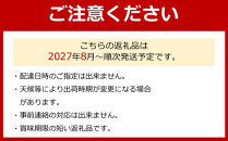 ［先行予定］［産地直送］たねなし巨峰と梨(品種おまかせ)のセット［2027年8月上旬頃より順次発送予定］