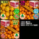 定期便 先行受付 2025年 10月発送スタート 有田みかん 食べくらべ 3種 特秀 各 3kg コース 全3回 南泰園