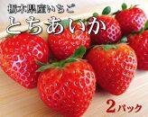 【数量限定】JAなすの産　産地直送いちご　とちあいか　1箱（290g×2パック）【栃木県共通返礼品】