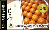 定期便 先行受付 2025年 10月発送スタート 有田みかん 食べくらべ 3種 化粧箱 特秀 各約 3kg 全3回 南泰園