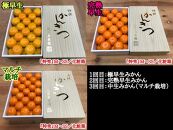 定期便 先行受付 2025年 10月発送スタート 有田みかん 食べくらべ 3種 化粧箱 特秀 各約 3kg 全3回 南泰園