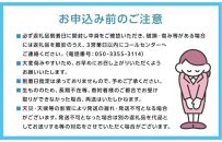 岡山県産 マスカット・オブ・アレキサンドリア 2房 約1.2kg くぼ農園