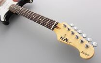 エレキギター FGN BCST100RBD-3TS (３トーンサンバースト)