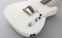 エレキギター FGN BCTE100RBD-SWH (スノウホワイト)